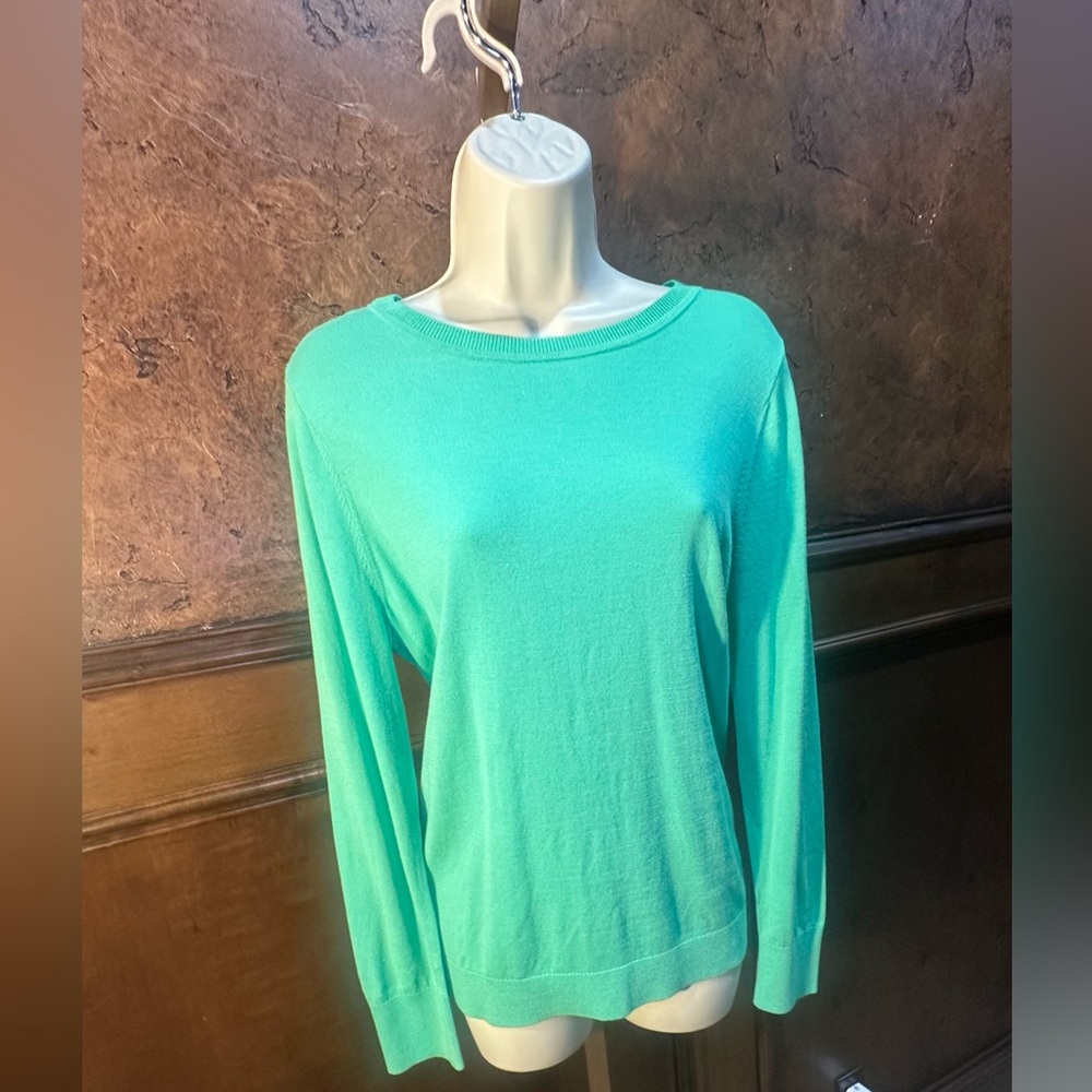 NWT SIZE L LOFT Mint Green Crew Neck Sweater